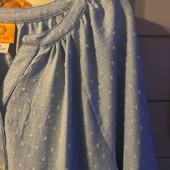 Ruby Rd. Soft Blue Ruffle Sleeve Blouse - Picture 5 of 11